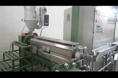 PCV PP PE Extrusion Line